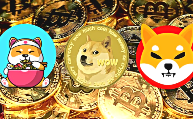 Лучшие монеты-мемы для наблюдений в июле