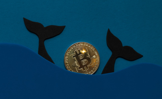 Биткойн-киты приобрели BTC на $ 1,38 млрд на падении рынка